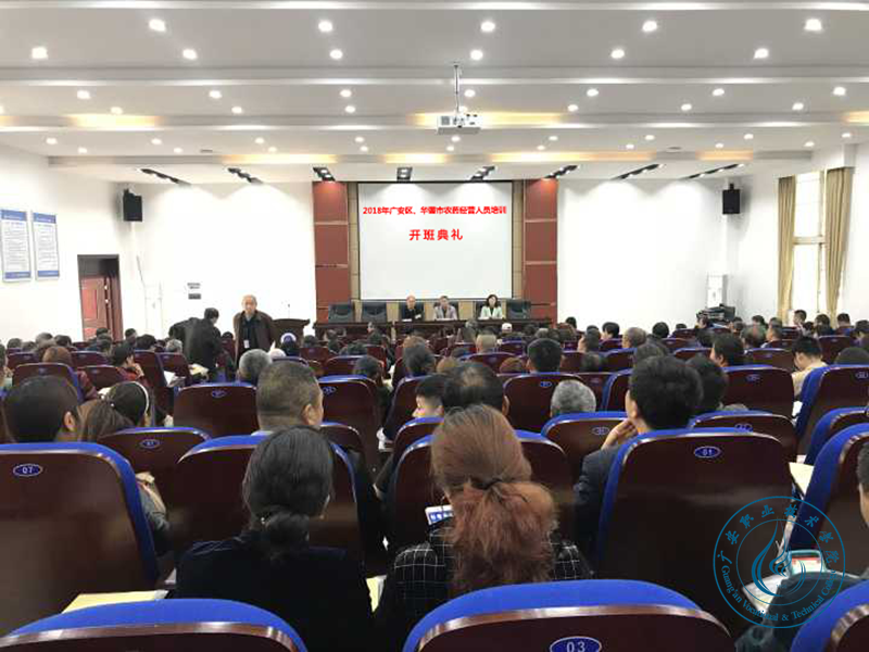 圖片3 圖片3