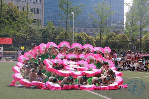 學(xué)前5 學(xué)前5